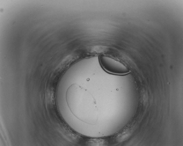 X0000063490328200601271726