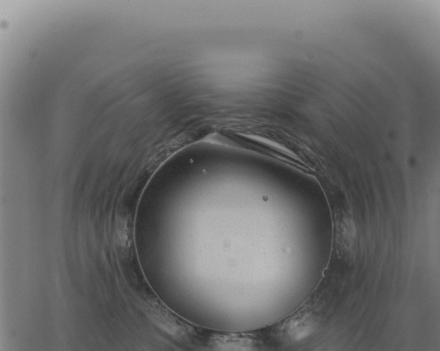 X0000063490331200601271726