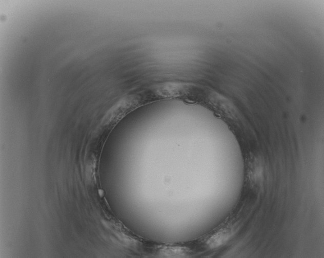 X0000063490332200601271726