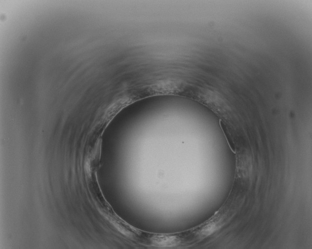 X0000063490334200601271726