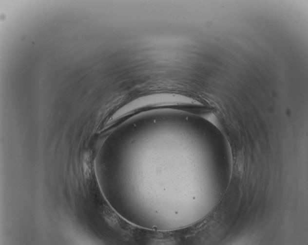 X0000063490335200601271726