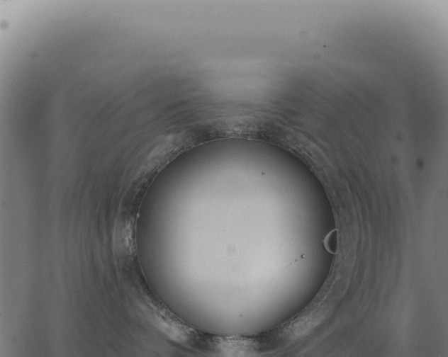 X0000063490336200601271726