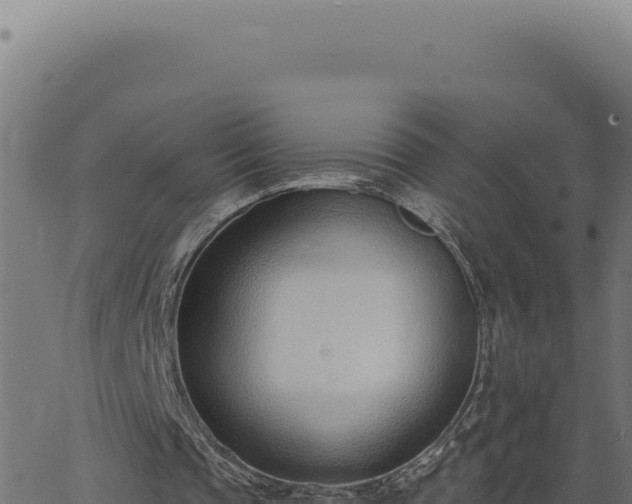 X0000063490337200601271725