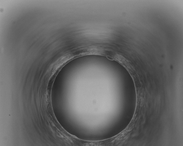 X0000063490338200601271725