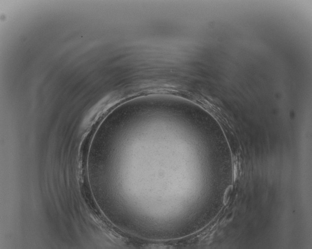 X0000063490339200601271725