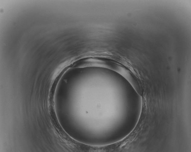 X0000063490340200601271725