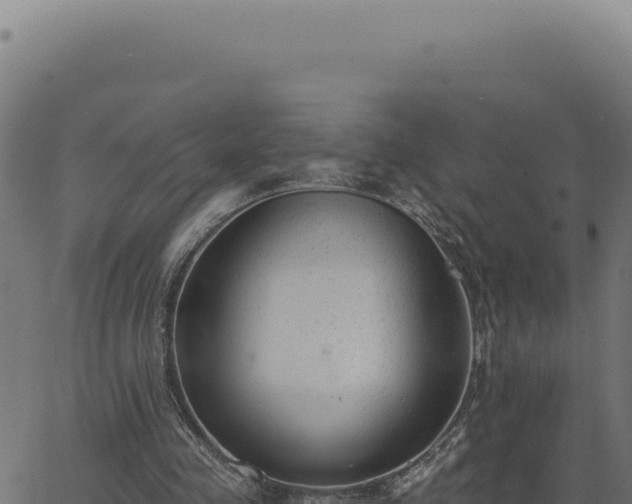 X0000063490341200601271725