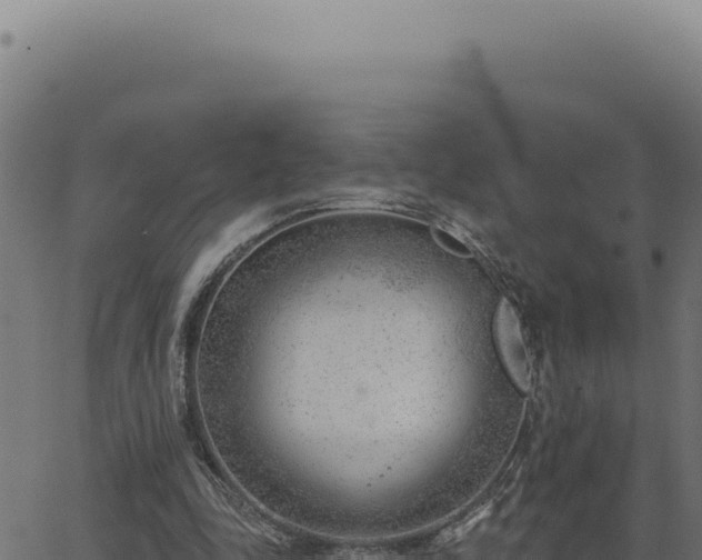 X0000063490343200601271725