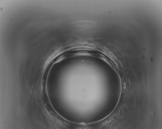 X0000063490344200601271725