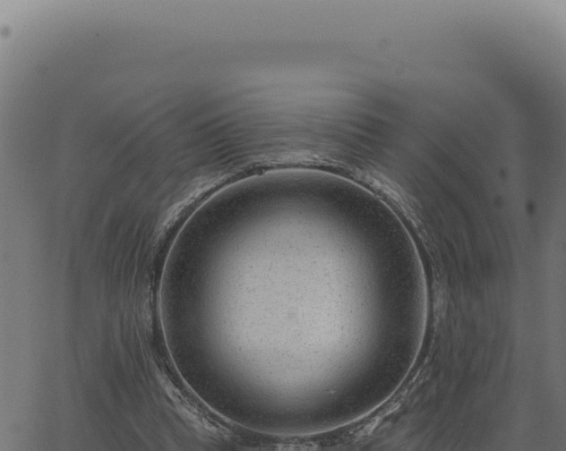 X0000063490345200601271725