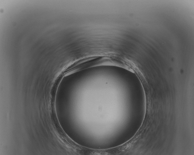 X0000063490346200601271725