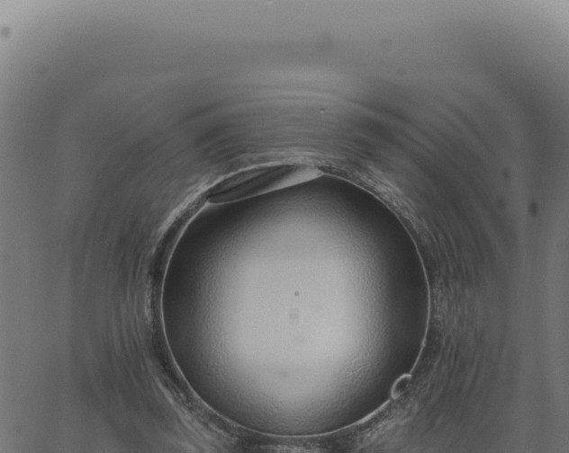 X0000063490347200601271725