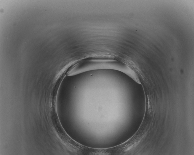 X0000063490348200601271725