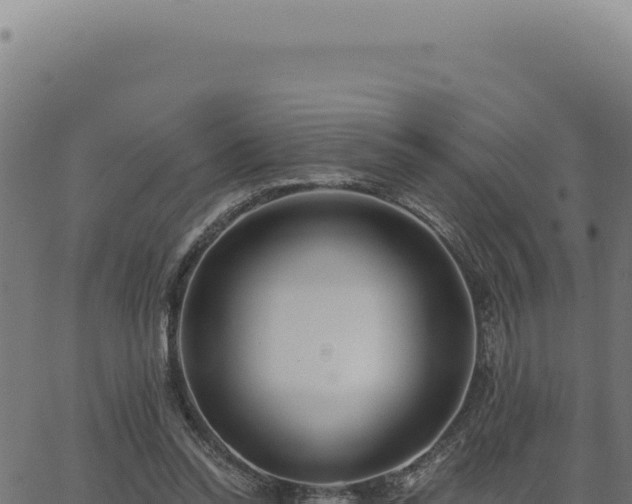 X0000063490350200601271725