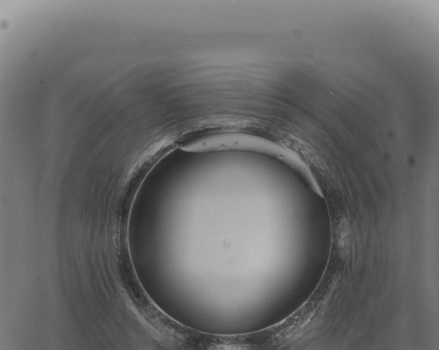 X0000063490352200601271725