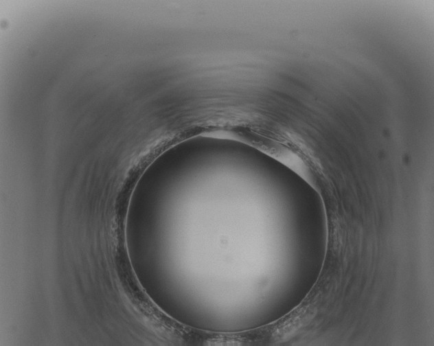 X0000063490354200601271726