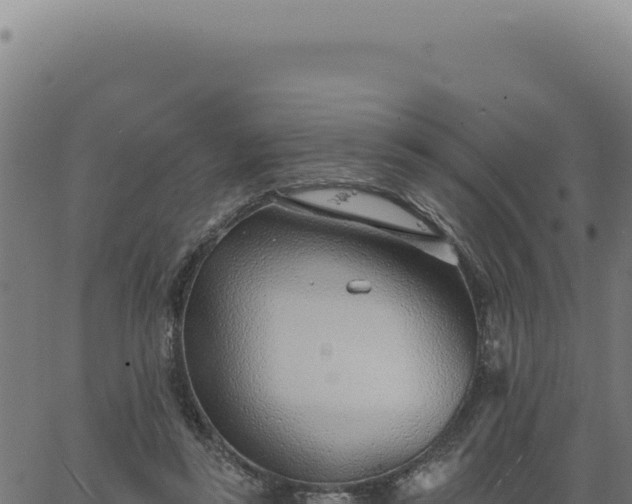 X0000063490355200601271726