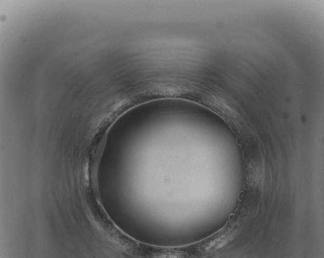 X0000063490358200601271726