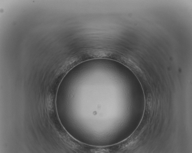 X0000063490359200601271726