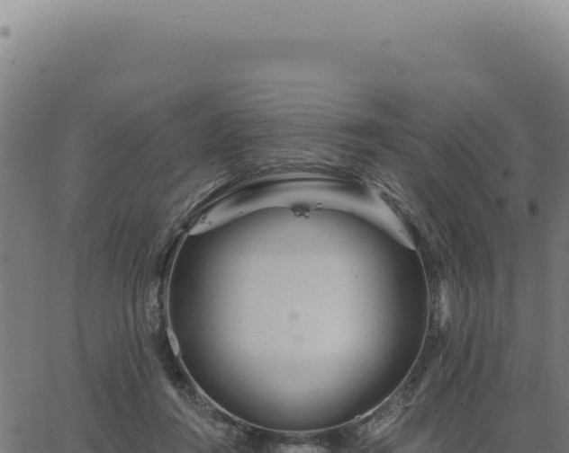 X0000063490360200601271726