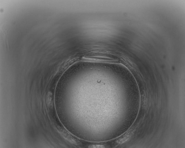 X0000063490361200601271726