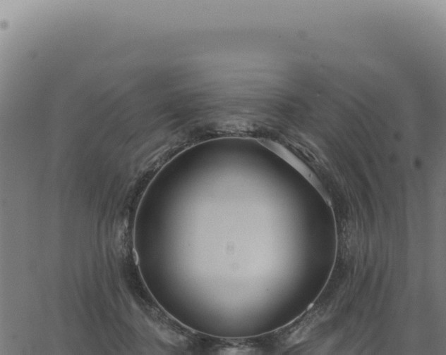 X0000063490364200601271726