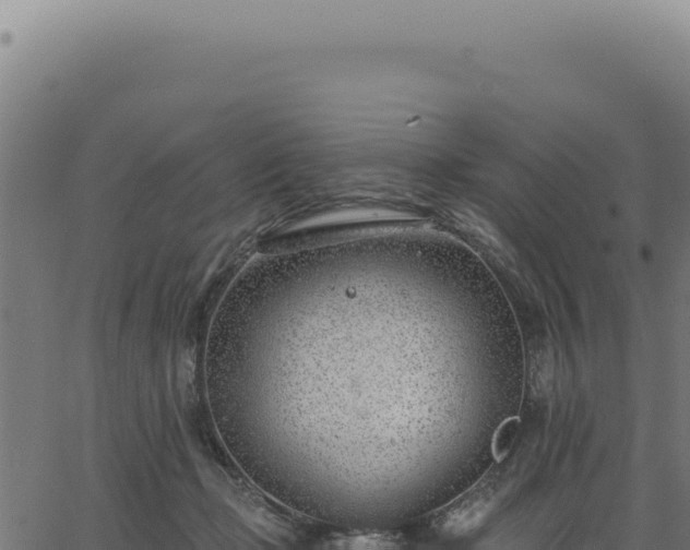 X0000063490365200601271726