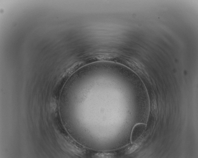 X0000063490367200601271726