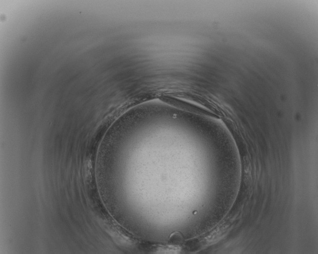 X0000063490369200601271726