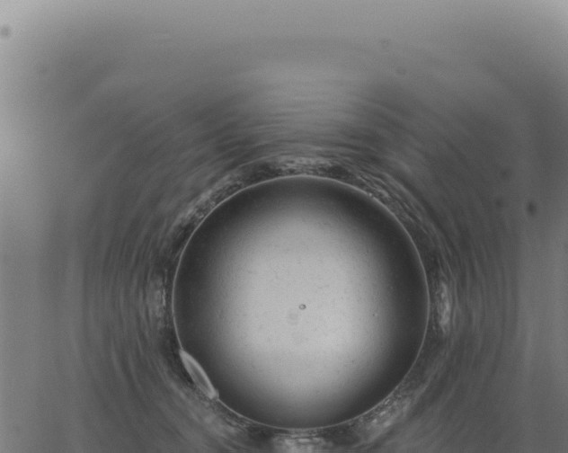 X0000063490372200601271726