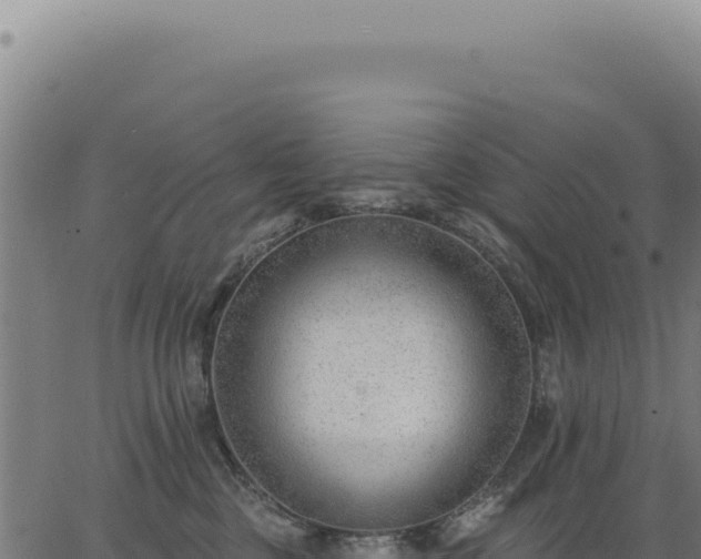 X0000063490377200601271726