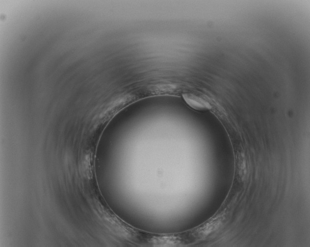 X0000063490378200601271726