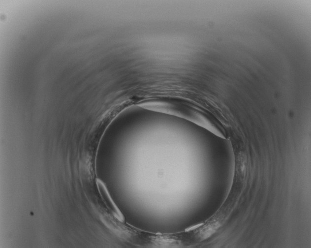 X0000063490380200601271726