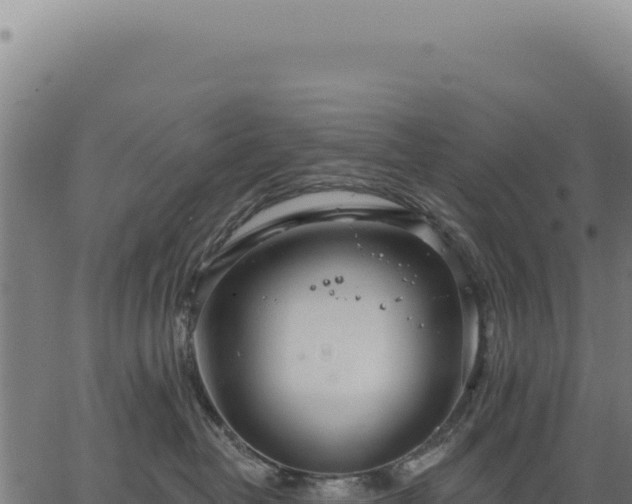 X0000063490382200601271726