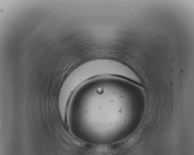 X0000063490384200601271726