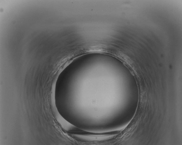 X0000063490385200601271725