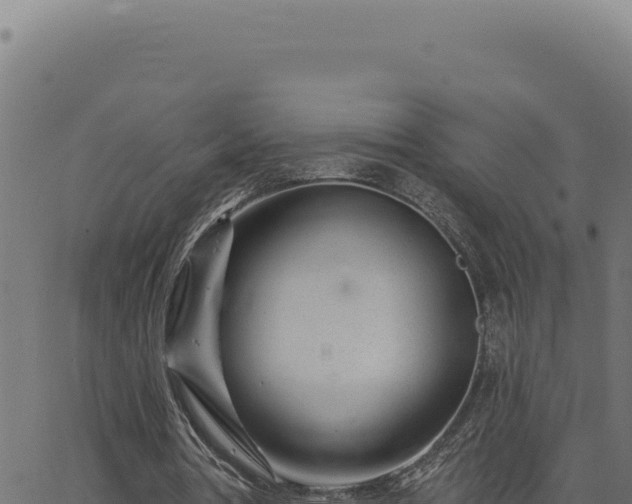 X0000063490386200601271725