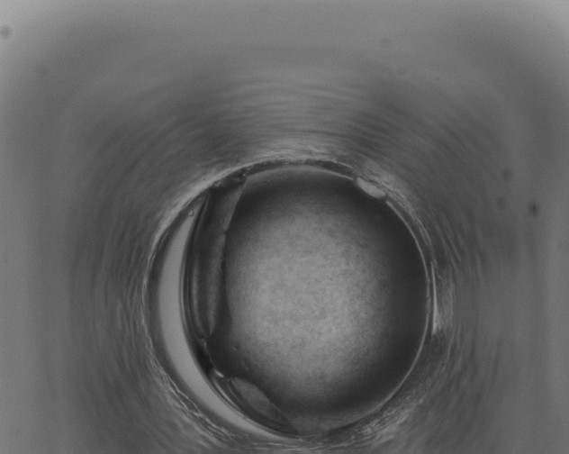 X0000063490387200601271725