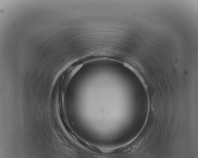 X0000063490388200601271725