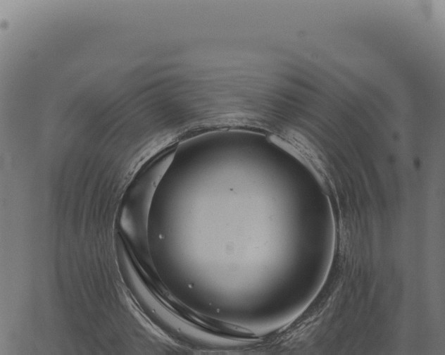 X0000063490389200601271725