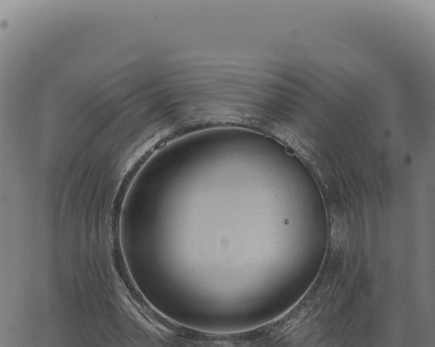 X0000063490390200601271725