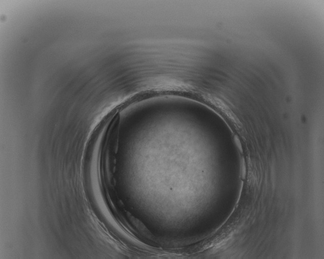 X0000063490391200601271725