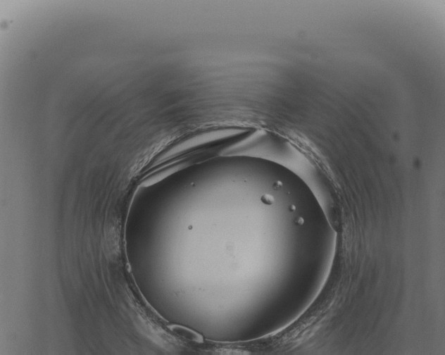 X0000063490393200601271725