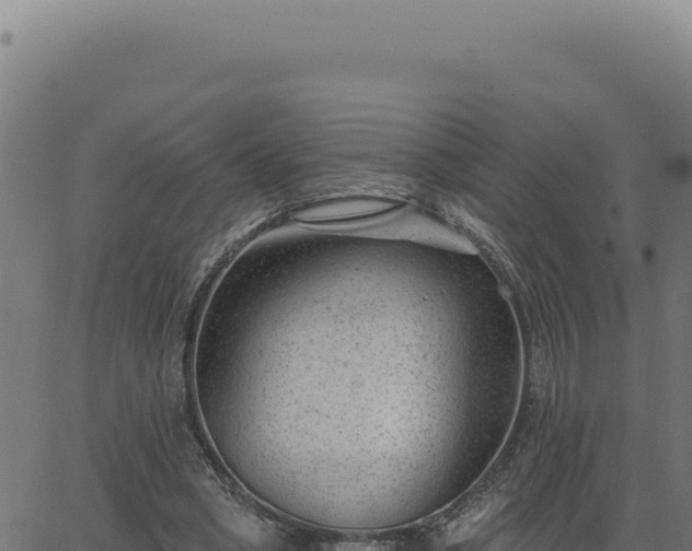 X0000063490394200601271725