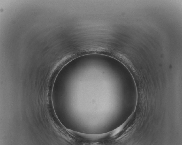 X0000063490395200601271725