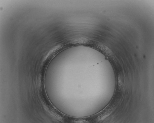 X0000063490396200601271725