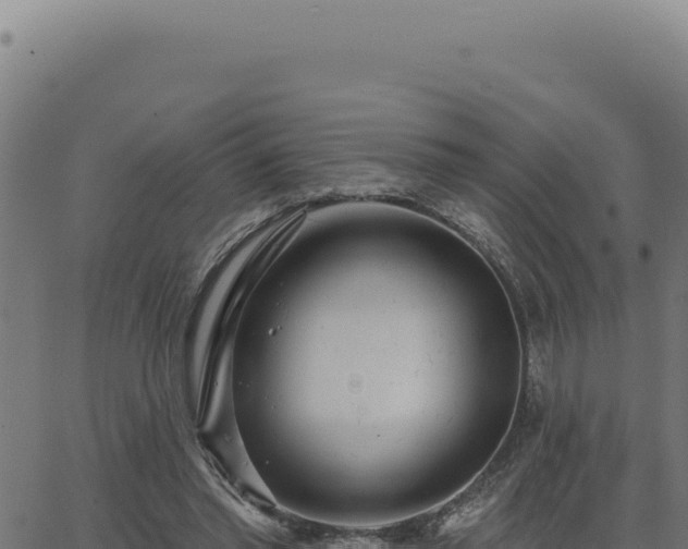 X0000063490397200601271725