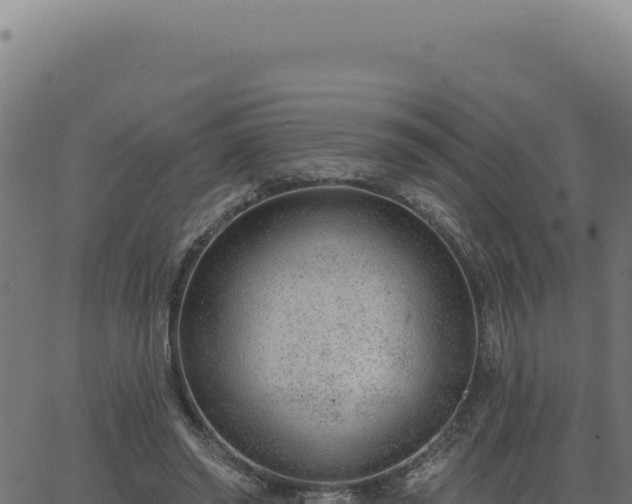 X0000063490398200601271725