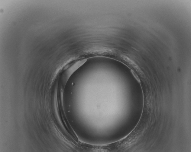 X0000063490399200601271725