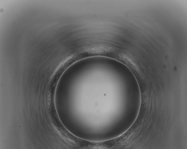 X0000063490400200601271725